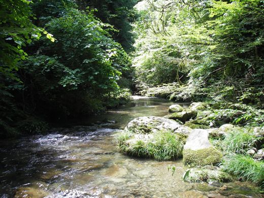 初めての川