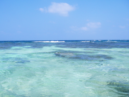 beyond the reef